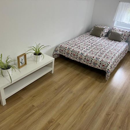 Green Apartment - Free Parking Katowice Luaran gambar